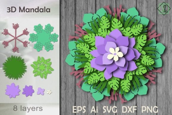Explore the Beauty of 3D Mandala with Succulents